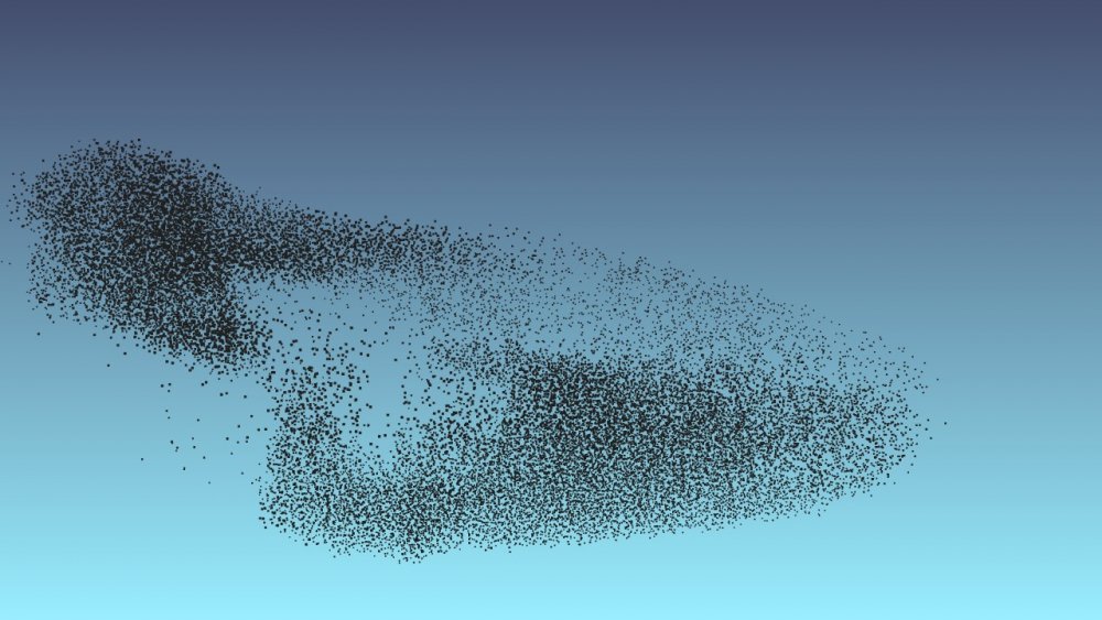 Flocking behaviour in particles