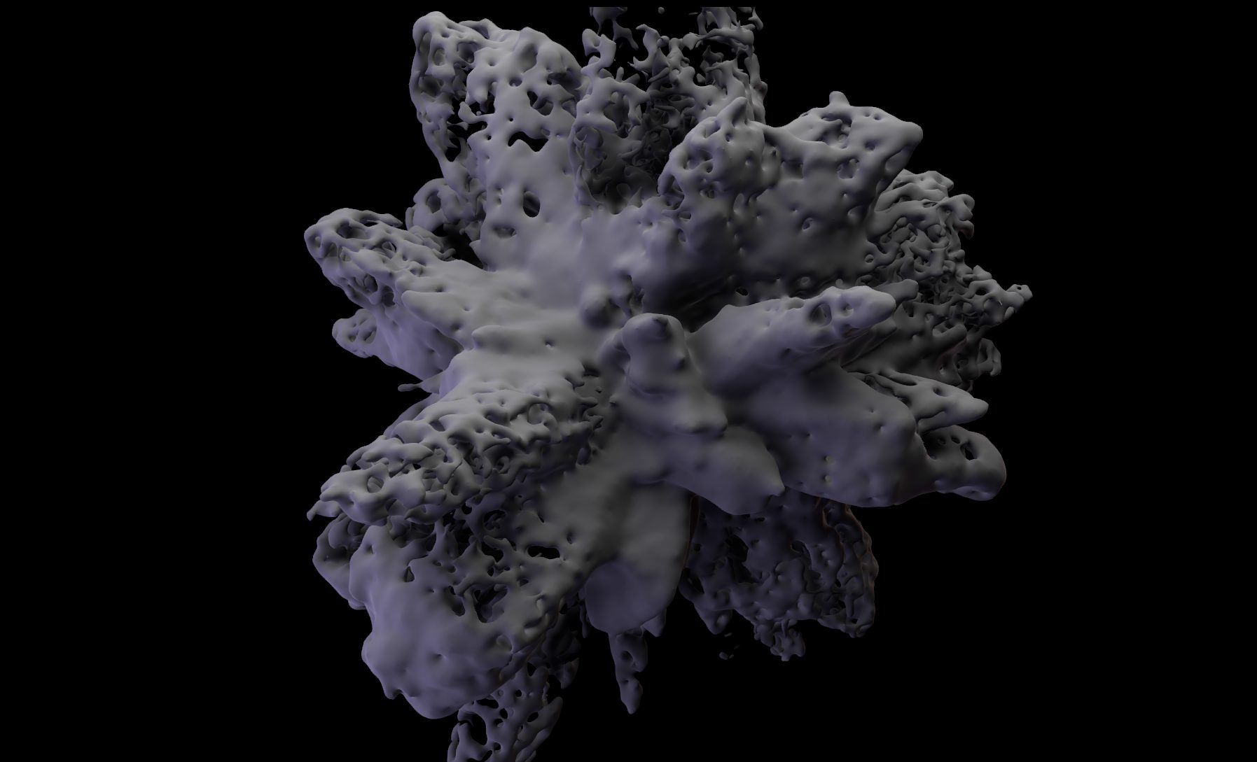 procedurals main image