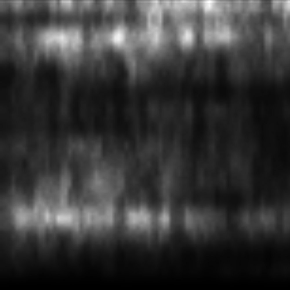 Sound Texture
